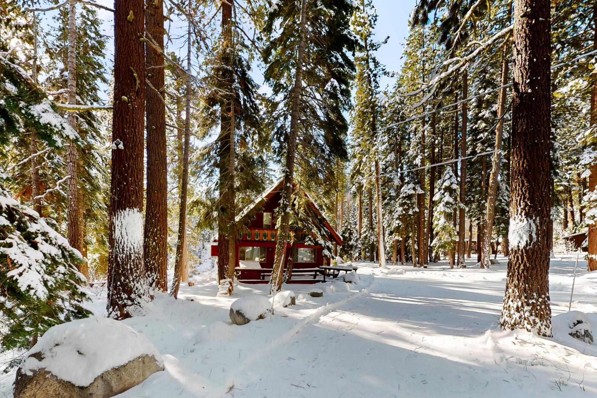 Ward Creekside Cabin Villa Tahoe City Exteriör bild
